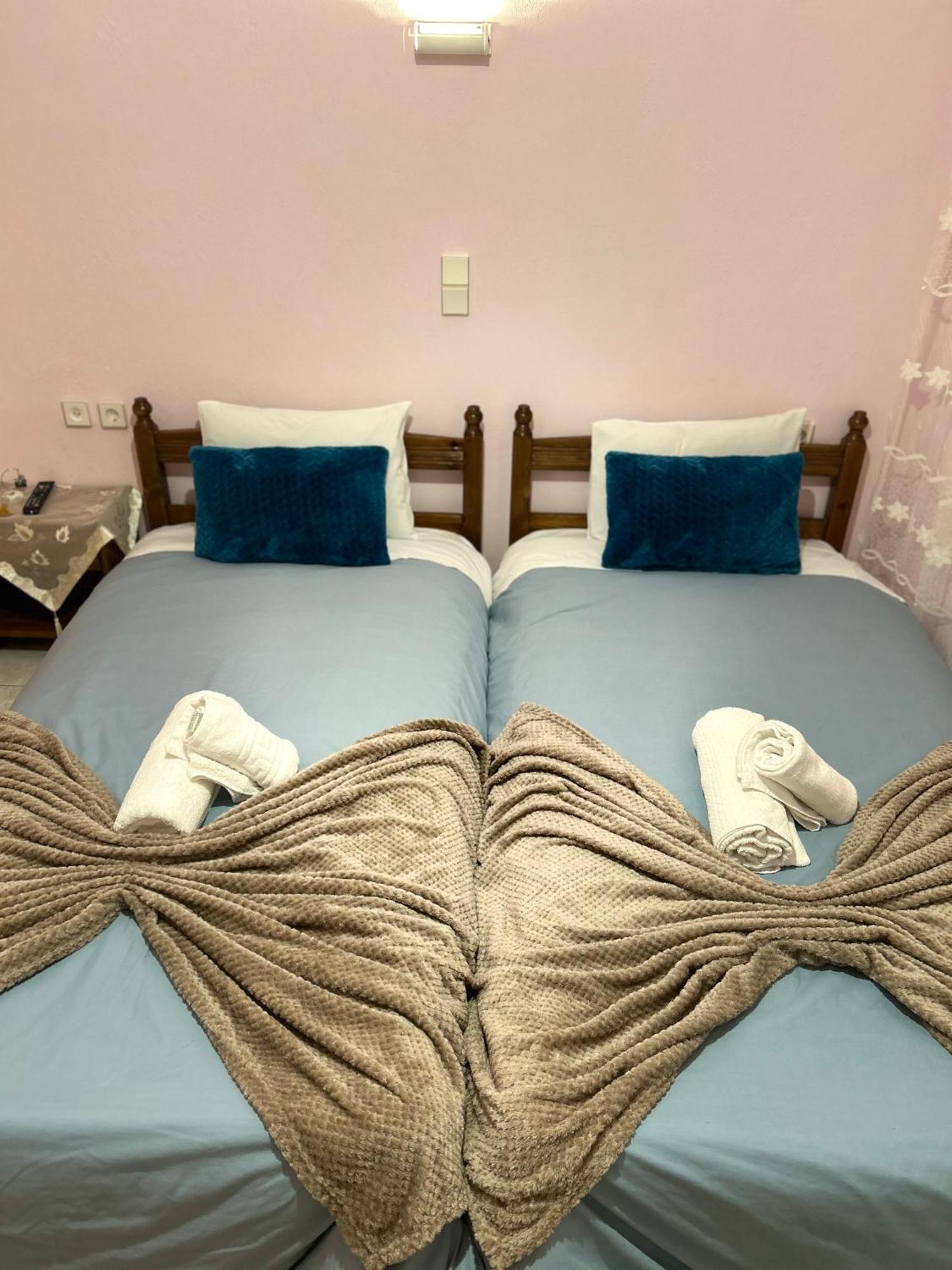 Karpouzis Guesthouse Vikos Bagian luar foto